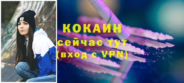прущие грибы Бородино