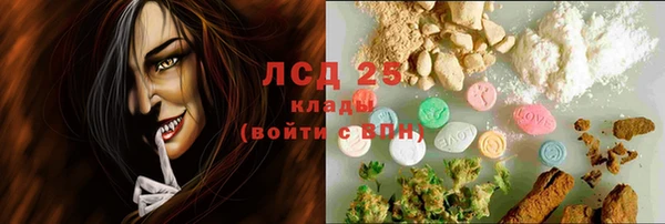 прущие грибы Бородино