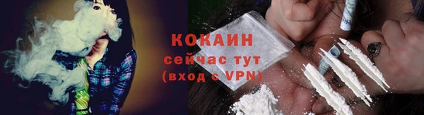 прущие грибы Бородино