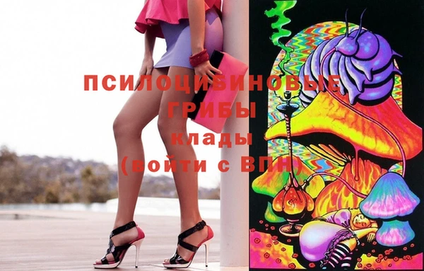 прущие грибы Бородино