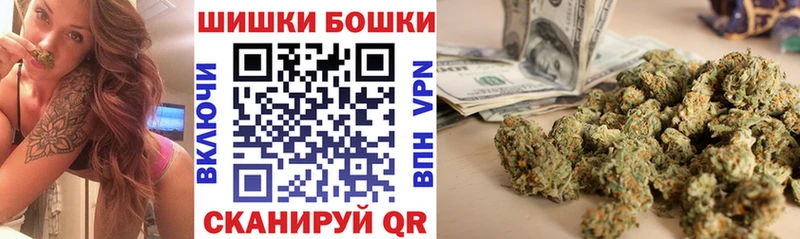Шишки марихуана конопля  Городовиковск 